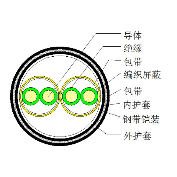 銅芯聚乙烯絕緣編織分屏蔽 鋼帶鎧裝聚氯乙烯護(hù)套計(jì)算機(jī)電纜-DJYPV22-300/500V